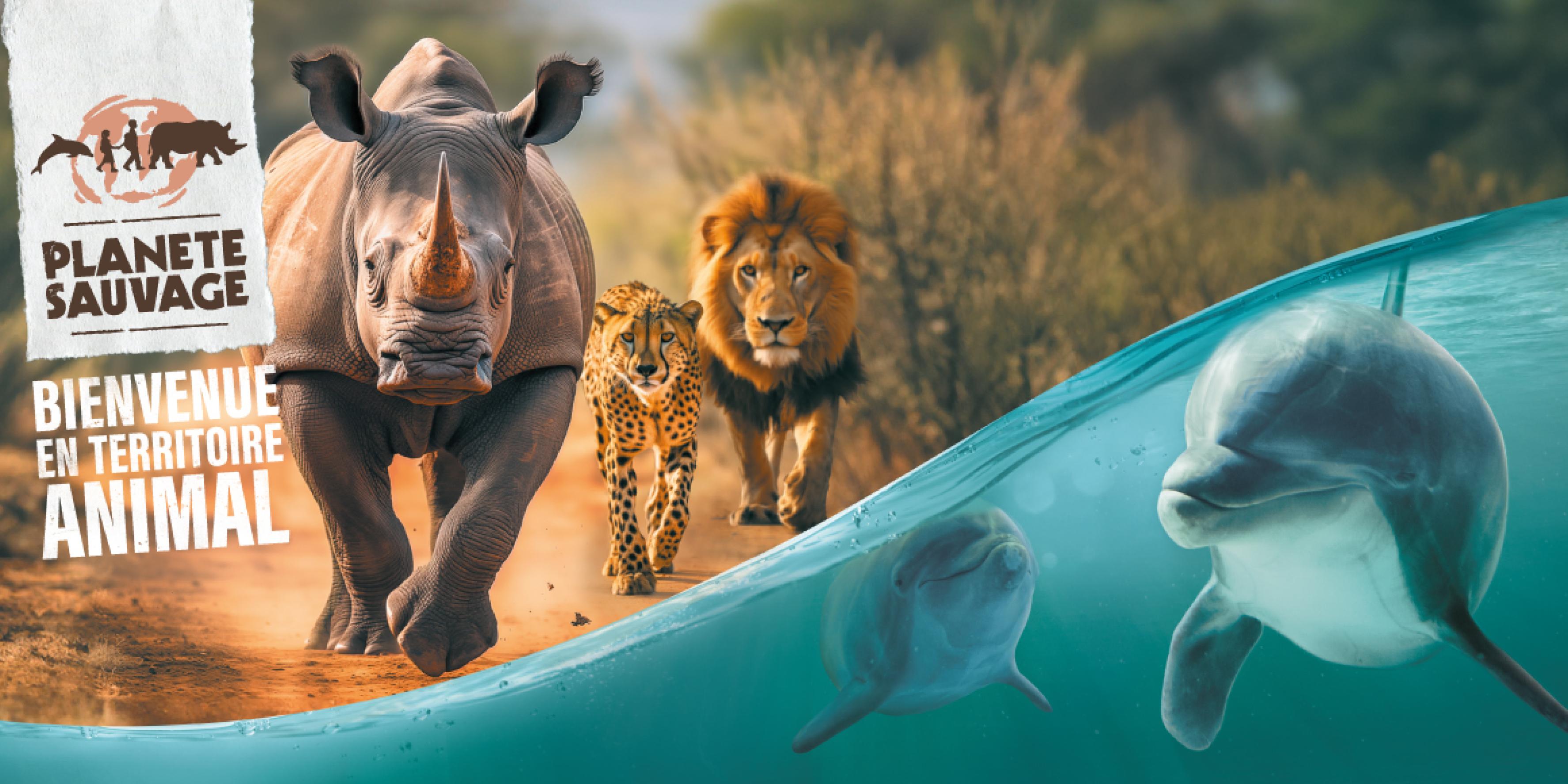 sortie scolaire Nantes / Une aventure au plus près des animaux à Planète Sauvage (près de Nantes)