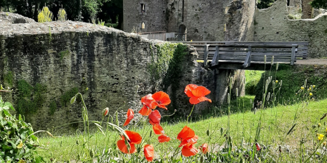 À la découverte du château, de sa faune et de sa flore, visite en famille au Château de Ranrouët