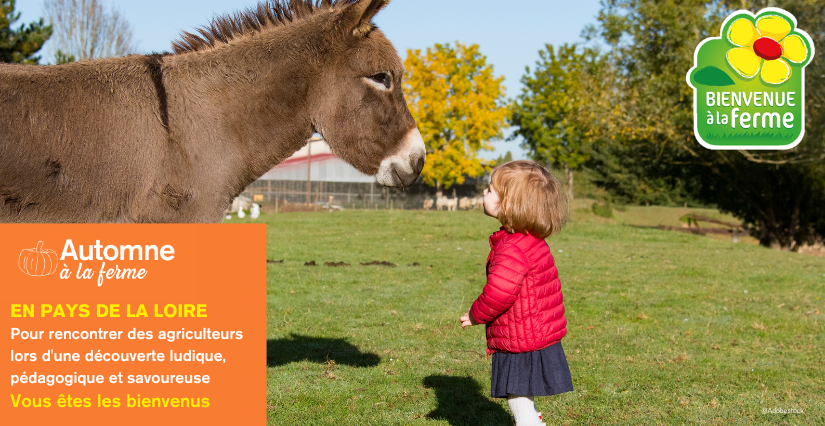 L'automne à la ferme en famille - Réseau Bienvenue à la Ferme