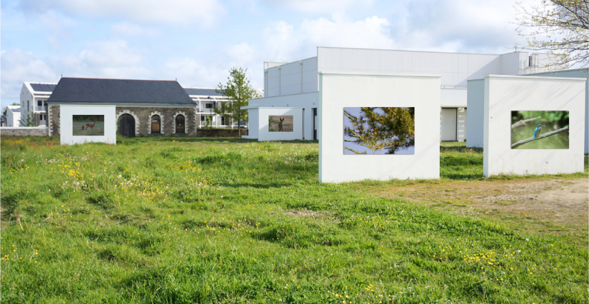 Exposition en plein air : "Balade photos" aux Renaudières à Carquefou 