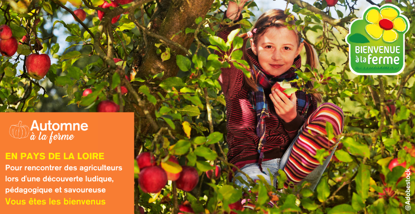 L'automne à la ferme en famille - Réseau Bienvenue à la Ferme