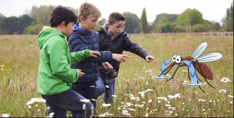 La Maison du Lac de Grand-Lieu - Animations Ados