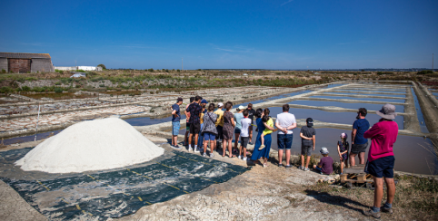 Du musée au marais - Visite musée + saline, en famille au Musée des Marais Salants