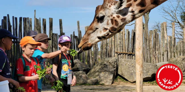 Fêter son anniversaire au zoo de la Boissière-du-Doré 