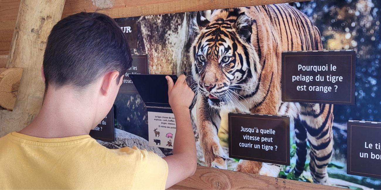 Le zoo de la Boissière du Doré s'agrandit cette année, avec "La Terre Sacrée des tigres"
