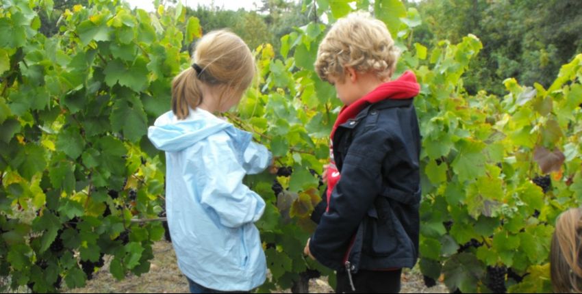 Base De Loisirs De Pont Caffino