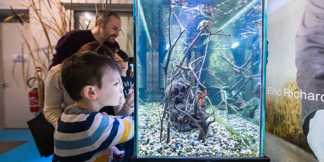 Atelier enfant « Coquillages et crustacés : sors de ta coquille ! » à la Maison de Pêcheurs du lac de Grand Lieu kidklikl 44