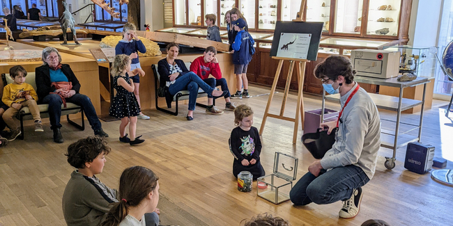 "Les ateliers du samedi" pour les enfants de 4 à 10 ans au Muséum d'Histoire Naturelle de Nantes