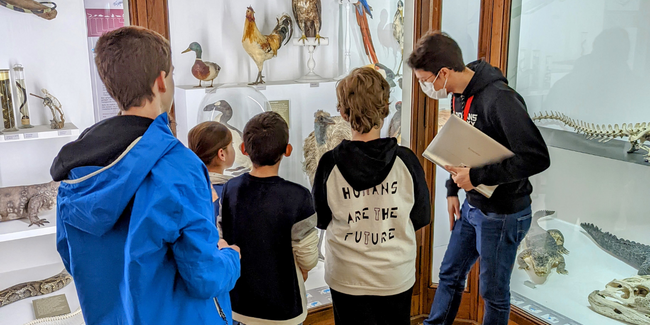 Science en duo pour les enfants de 6 à 10 ans, au Muséum d'Histoire Naturelle de Nantes