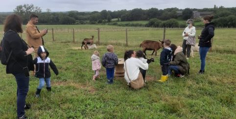 Atelier nourrissage des animaux à la petite ferme d'Heidi kidklik 44