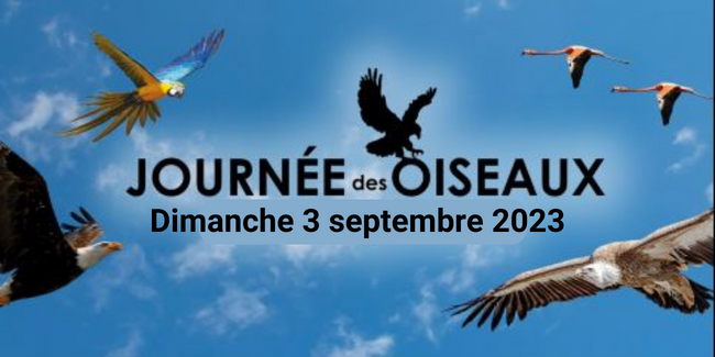Journée des oiseaux, animation tout public au Zoo de la Boissière du Doré