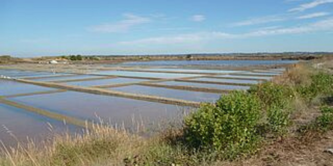 Du soleil et du vent, la vie dans les marais salants, balade en famille