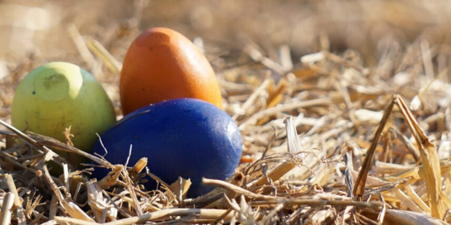 Chasse aux œufs pour les enfants de 2 à 12 ans à Carquefou