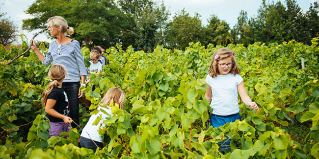 Pâques en famille au Musée du Vignoble Nantais au Pallet