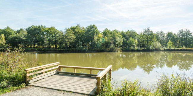 Pêche au coup en famille à l'étang de Chantemerle, Montbert