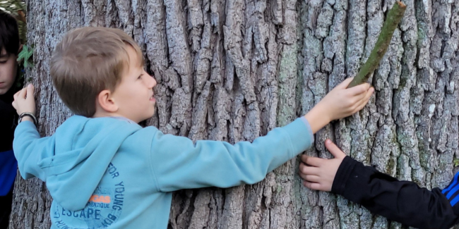 Embrasser un arbre, embrasser le temps, spectacle en famille au Domaine de la Garenne Lemot