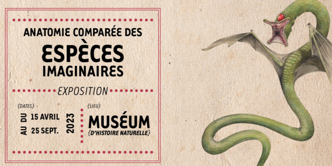Anatomie comparée des espèces imaginaires, exposition au Museum de Nantes