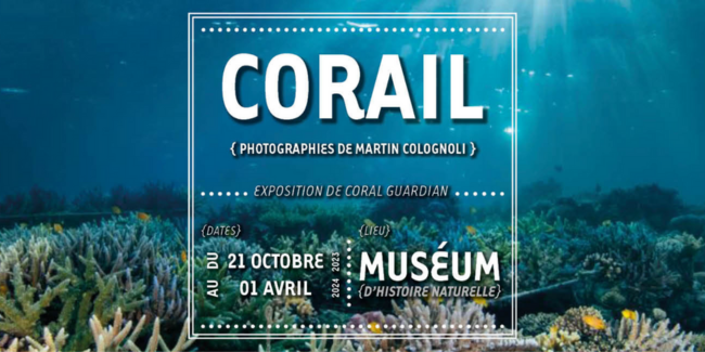 "Corail", exposition au Muséum d'histoire naturelle à Nantes