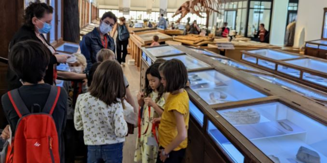 Ateliers du mercredi et du samedi pour les enfants de 4 à 10 ans au Muséum d'Histoire Naturelle, à Nantes