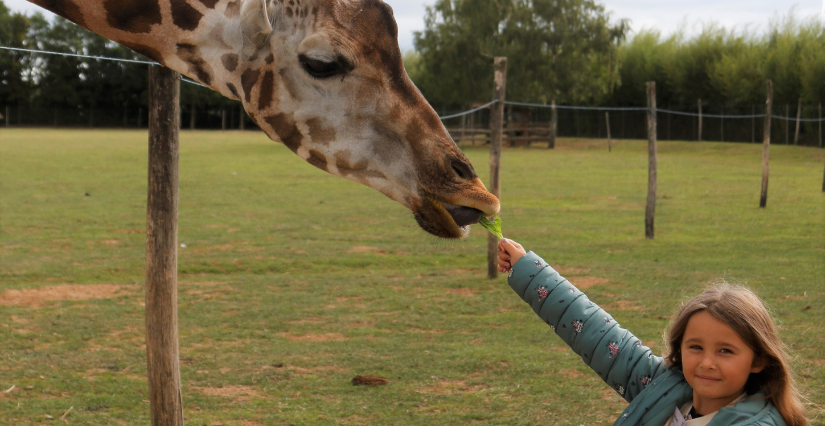 Fêter son anniv' au ZOO - Boissière du Doré