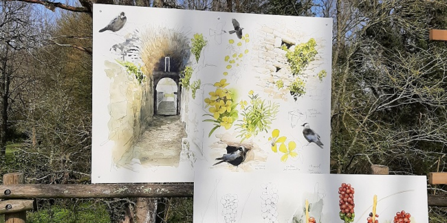 "Au fil des saisons", exposition de Denis Clavreul au Château de Ranrouët