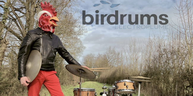 "Birdrums, Électroplume", spectacle au Château de Ranrouët