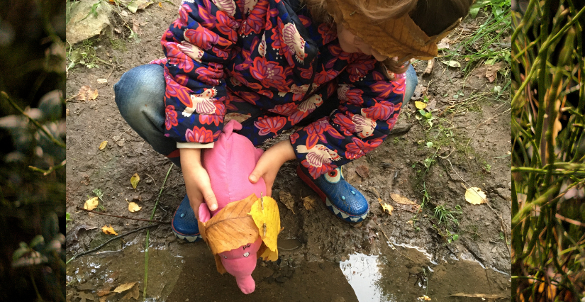 Atelier-Balade en famille dans la forêt de Touffou à Vertou