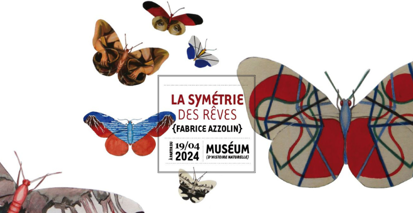 Exposition "La Symétrie des Rêves" au Muséum d'Histoire Naturelle, à Nantes