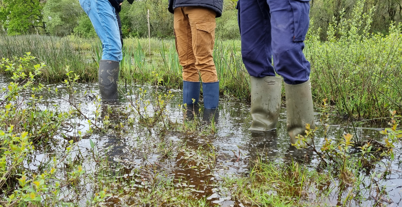 Sortie nature : Mais qu'y a-t-il dans l'eau ? à la Maison du Lac de Grand-Lieu