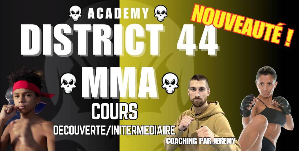 Stage Initiation MMA chez District 44 à Nantes 