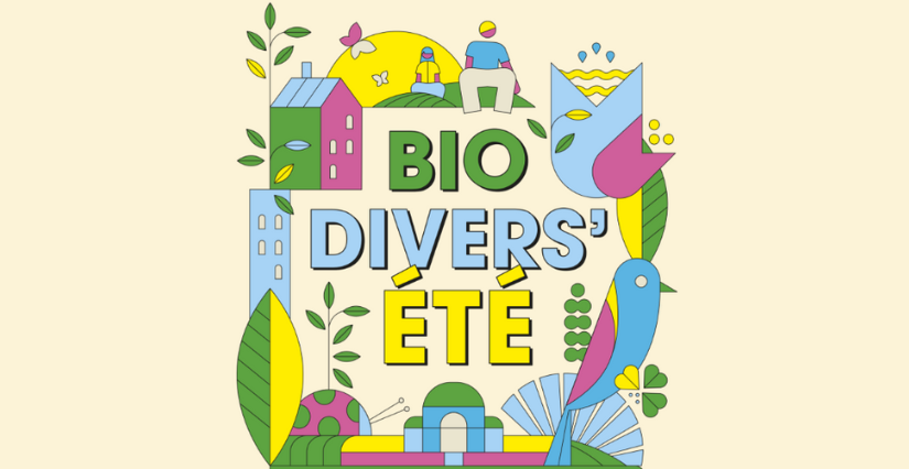 Biodivers’été 2025 : plus de 100 animations pour tous les âges à Nantes