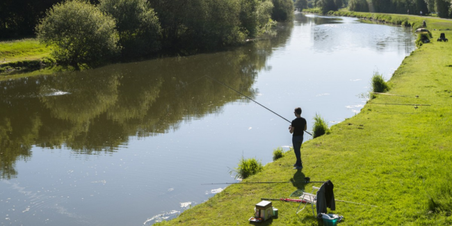 Initiation à la pêche au coup en famille pendant les vacances d'été
