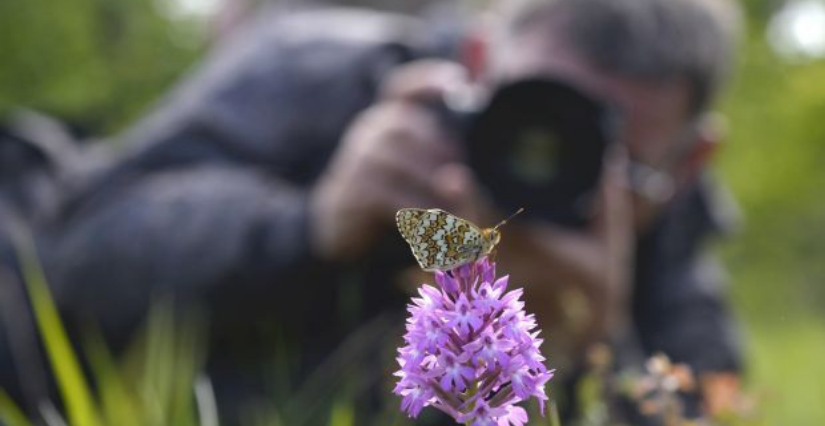 "Initiation à la macrophotographie" : animation photo avec des ados (+15 ans), au Bignon