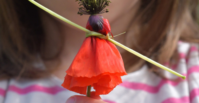 Découverte contée et bricolée avec les arbres : animation nature en famille, à Geneston