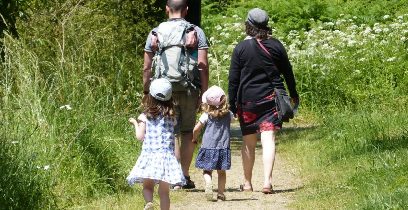 "Matinée famille" : première découverte pour les 4-5 ans, à la Maison du lac de Grand-Lieu