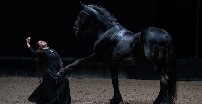 "Entre chiens et loups" : théâtre équestre à voir en famille, au Théâtre – Scène nationale de Saint-Nazaire