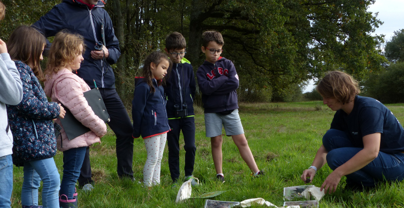 Chasse au trésor "Les aventuriers de l'eau" à la Maison du Lac de Grand-Lieu, Bouaye
