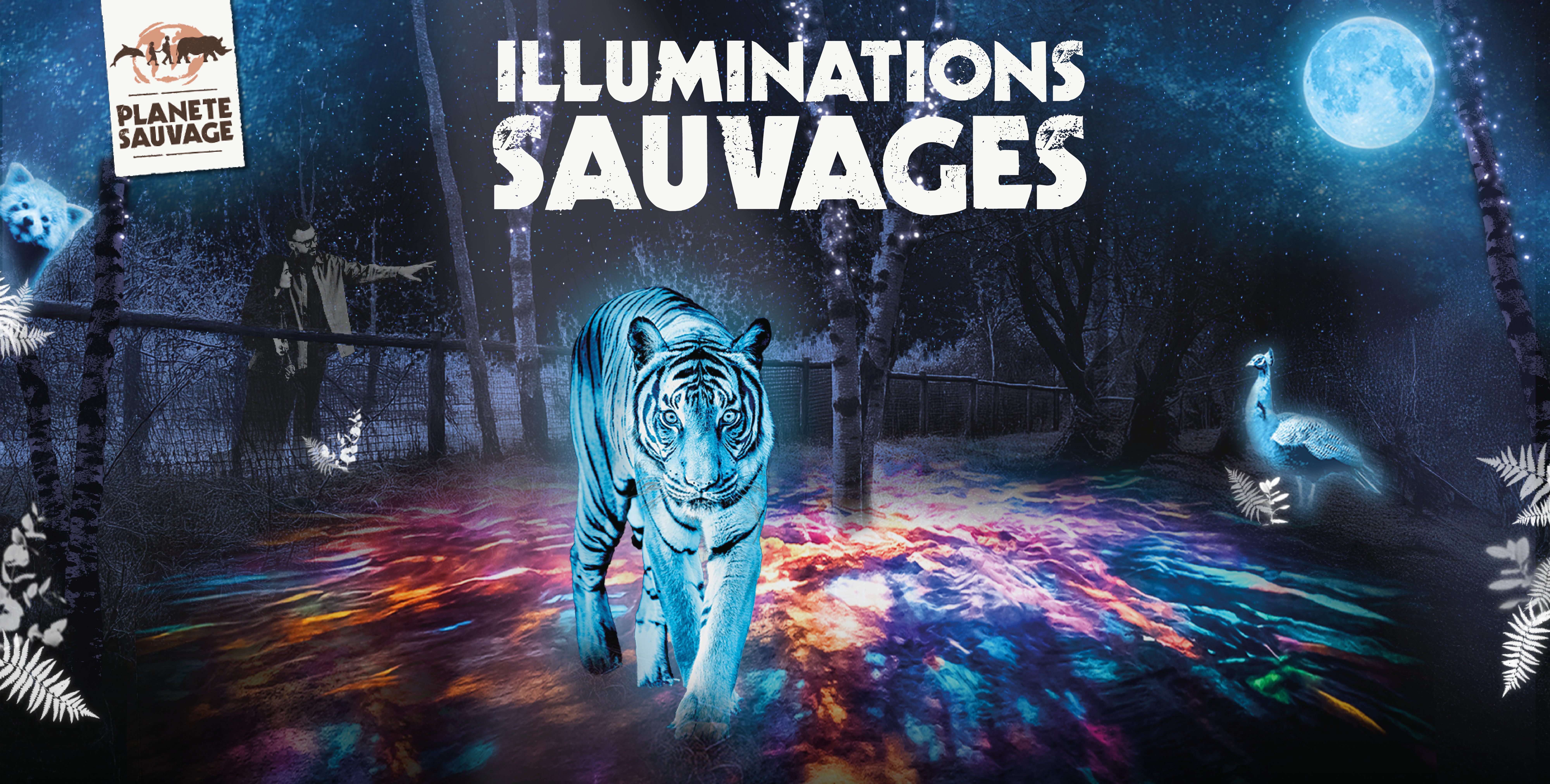 Les Illuminations Sauvages : Une déambulation nocturne immersive et féérique à Planète Sauvage 