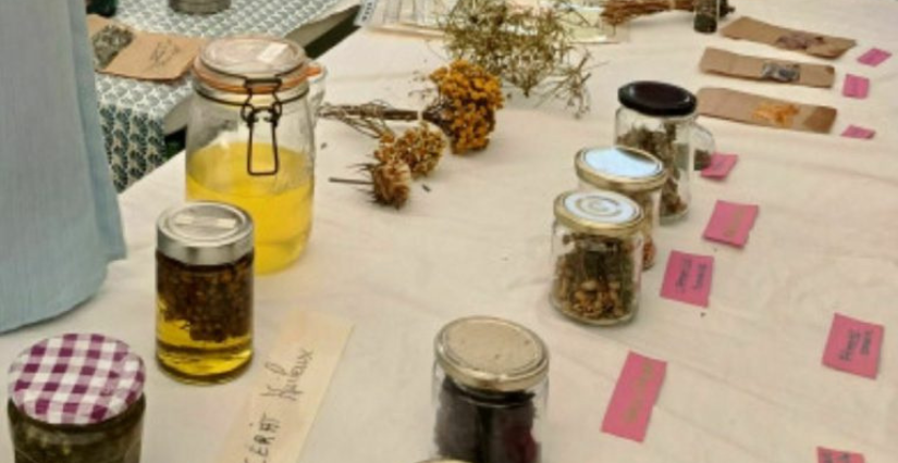Atelier famille « Compose ta tisane » au Château de Ranrouët