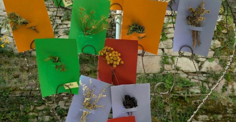 Atelier parent-enfant «peinture végétale» au Château de Ranrouët