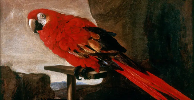 "Le voyage de Lazlo" : éveil à l’art pour les 2-4 ans, au Musée d’arts de Nantes 