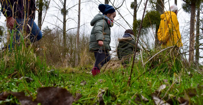 "Petits aventuriers des milieux humides !" à la Maison du Lac de Grand-Lieu, Bouaye