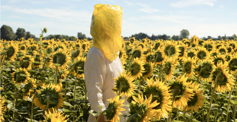 Plants and People : exposition en famille au Musée d'Arts de Nantes