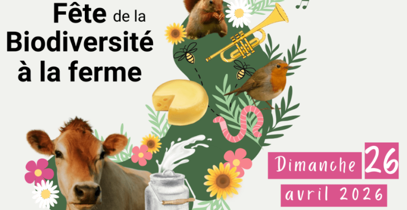 Printemps à la ferme : Ferme Lait Prés Verts à Guérande