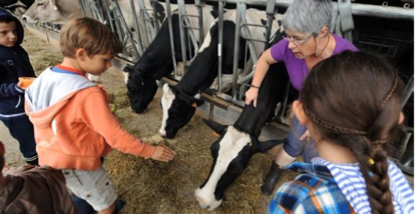 Printemps à la Ferme : visite guidée à la Ferme de la Péquinière à la Boissière-du-Doré