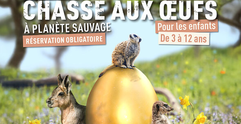 Pâques à Planète Sauvage : grande chasse aux oeufs !