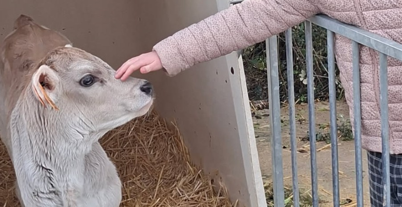 Printemps à la ferme : animations à la ferme "Lait Gourmandises", à Puceuil