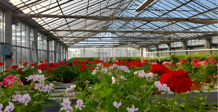 Printemps à la ferme : Les Serres du Pays Nantais