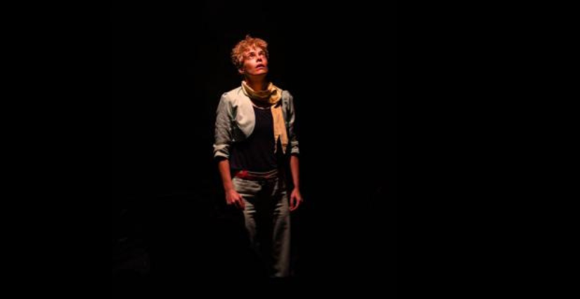 "Le Petit Prince", spectacle de cirque en famille à l'Espace Capellia de La Chapelle-sur-Erdre