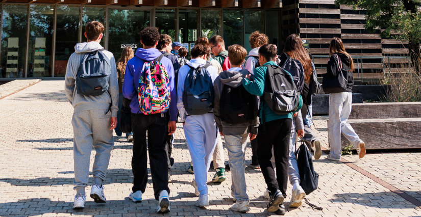Terre d’Estuaire - sorties scolaires et groupes d'enfants 